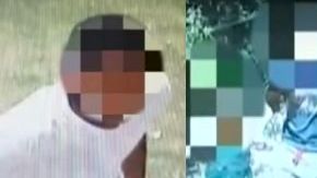 Todo quedó grabado por cámaras de seguridad