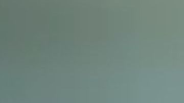 Estrellita y Cataleya consiguieron el asilo este lunes.