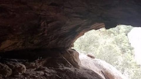 El Fiscal de Chihuahua dijo en entrevista con Radio Fórmula que el Cartel de Sinaloa está detrás de los esclavos rescatados en una cueva.