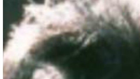 Blanco fue asesinada en Medellín, en el 2012.