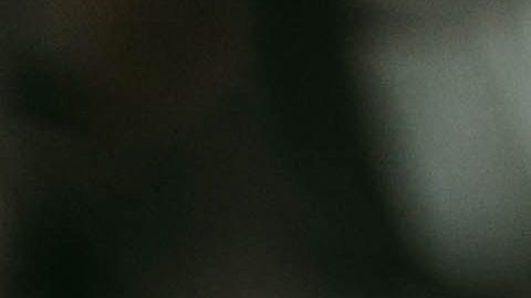 Es común que en matrimonios falsos las personas someten todos los papeles y no vivan juntos.