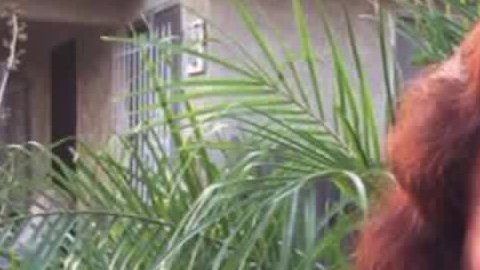 Genoveva Rivera Robles