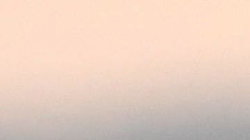 El presidente Trump quiere pregunta de ciudadanía en el Censo 2020.