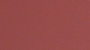 AMLO no vaciló en su ataque a estos organismos internacionales