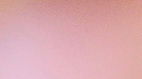 En abril se filtró un audio, donde el receptor le grita a su esposa e hijo