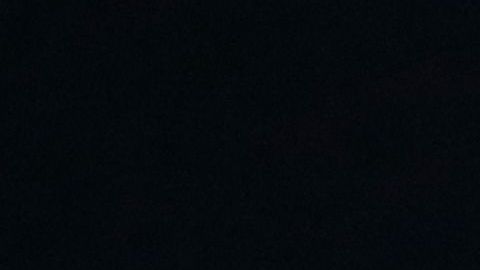 Halep vs. Williams, ¡vaya final femenil que tendremos en Wimbledon!