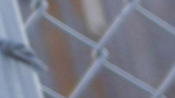 El cambio en este programa pone en peligro el acceso al asilo.