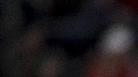 Sounders de Seattle cumplió el sueño de un pequeño con leucemia.