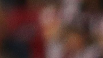 Tomás Boy tuvo un altercado con un aficionado previo al compromiso contra la Fiorentina.