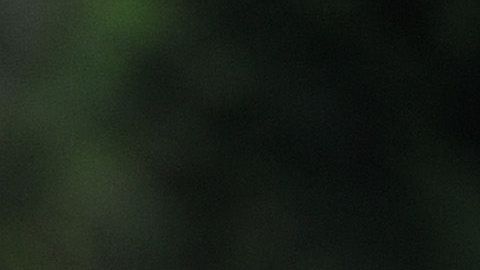 Xavi Simons es nuevo jugador del PSG luego de 9 años en Barcelona.