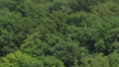 Las inundaciones por crecidas del Mississippi afectan desde junio.