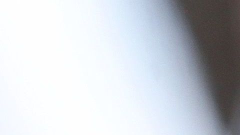 Alessandra Ambrosio.