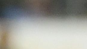 Alexis Vega apenas tiene sus primeros llamados al tri y ya es campeón de Copa Oro.