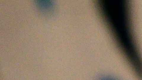 Artista mexicana exhibe sus creaciones.