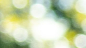 El presidente quiere impulsar un plan migratorio.