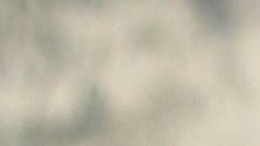 La acusación también alega  que  seis asesinatos se cometieron "de una manera especialmente atroz, cruel o depravada, ya que [ellos] implicaban tortura o graves abusos físicos a la víctima".were a "youth mistake".