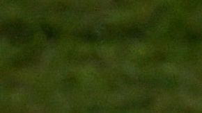 Gabriel Jesús sale expulsado y hace una rabieta.