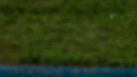 Gabriel Jesús sale expulsado y hace una rabieta.