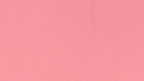 Griezmann por fin posa con los colores blaugranas.