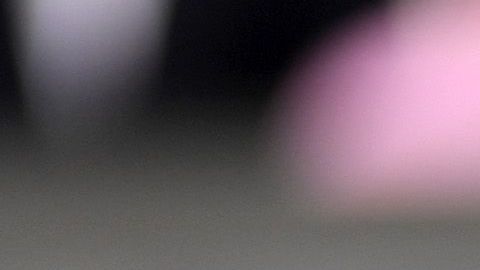 Federer podría visitar México en noviembre para un partido de exhibición.