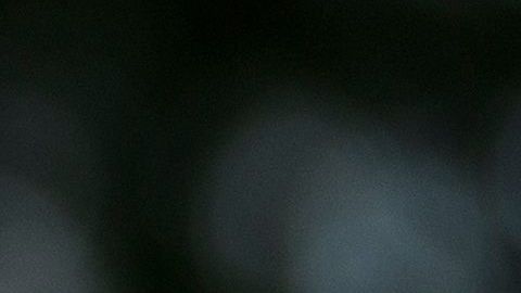 Trump defiende sus tweets racistas contra congresistas demócratas