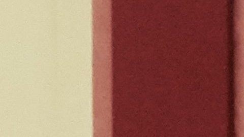 Rey Felipe VI junto a su consorte Letizia.