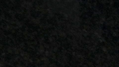 El FBI arrestó a una mujer del área de Seattle, Paige A. Thompson.