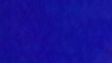 El exvicepresidente Joe Biden, el senador Bernie Sanders y la representante Kamala Harris.