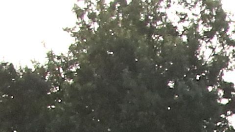 Tanques Abrams M1A1 y otros vehículos militares en vagones de ferrocarril en Washington DC.