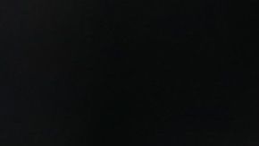 Gareca, pieza fundamental del éxito de Perú.