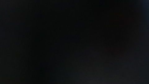 Gareca, pieza fundamental del éxito de Perú.