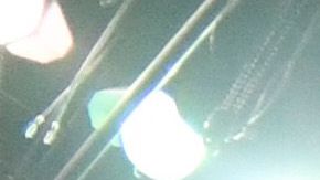 Así se vivió el sismo en juegos de la NBA y la MLB.