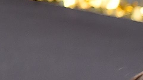 Miles de aficionados festejaron el título mundial en las calles de la Gran Manzana.