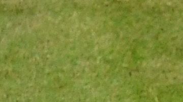 Nicolas Mahut recibió un duro impacto durante la final de Dobles.