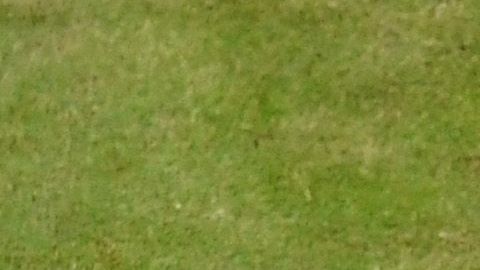 Nicolas Mahut recibió un duro impacto durante la final de Dobles.