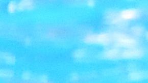 Dressel va a la caza de Phelps.