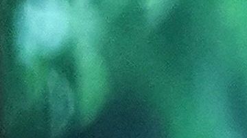 El gobierno hizo el anuncio a través de Twitter