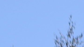 La policía realizó un registro en una de las casas donde Legan habitó antes del tiroteo.