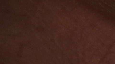 Los datos biométricos cobran mayor importancia en proceso migratorios.