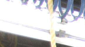 Este año Ford enviará producción de autos eléctricos a México.