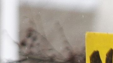 Las protestas anunciadas para hoy frente al centro se trasladarán a otro lugar.