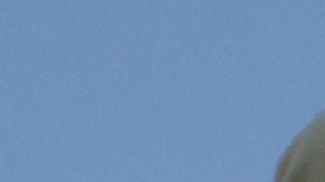 Edith González murió el pasado 13 de junio.