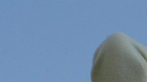 Edith González murió el pasado 13 de junio.