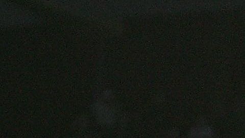 Después de la WWE se dedicó al modelaje con el nombre de Barbie Blank