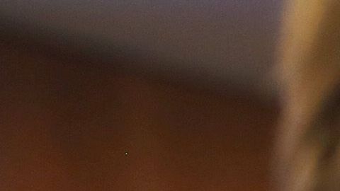 Garantizar el conocimiento cívico y básico del inglés serán clave