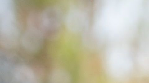 En 2018, el demócrata visitó también un centor de retención provisional en Texas.