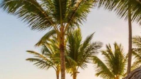 El gobierno dominicano ha denunciado la existencia de una "campaña mediática" para perjudicar el país.