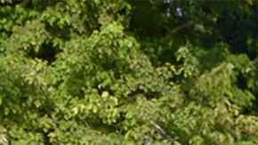 La casa de Sioux City, Iowa, donde supuestamente estaba retenida la joven víctima de dos detenidos por tráfico de seres humanos.