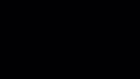 Guillermo del Toro, cineasta mexicano. / Foto: Agencia Reforma