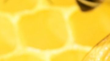 La miel tiene un poderoso efecto inhibidor de múltiples especies de bacterias, hongos y virus.